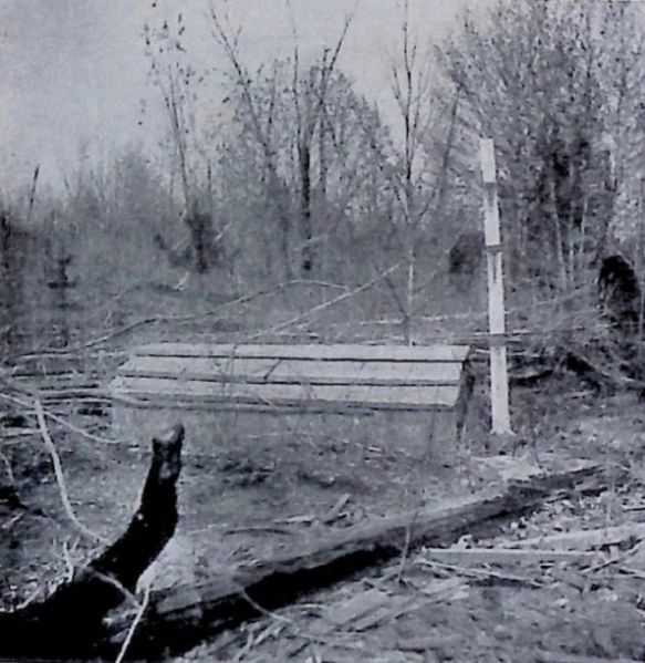 Fil:Samojedisk grav.jpg