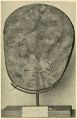Linnés trolltrumma Fig. 4.jpg