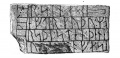 Fig.1 (Henry Petersen).jpg