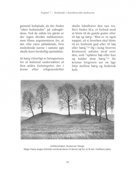 Fil:Stednavne 091.jpg