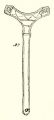 Linnés trolltrumma Fig. 3.jpg