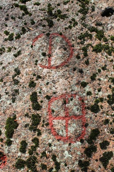 Fil:Gärstad Helleristninger 3.jpg