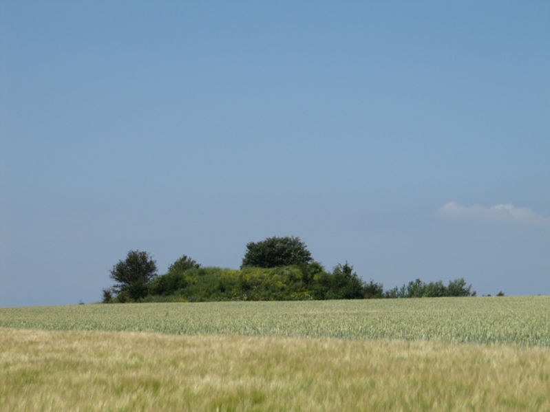 Fil:Bronsåldershög vid Södra Åkarp.jpg
