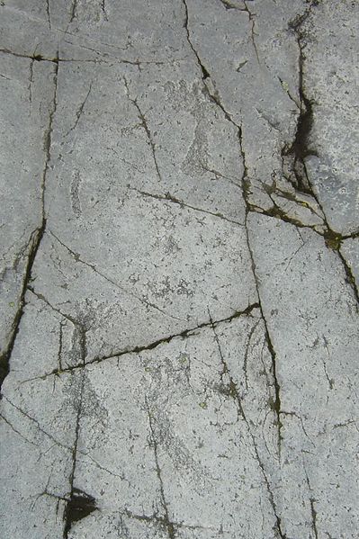 Fil:Järrestadristningerne 3.jpg