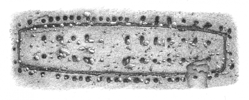 Fil:Nordboerne 88.png