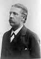 Viktor rydberg2.jpg